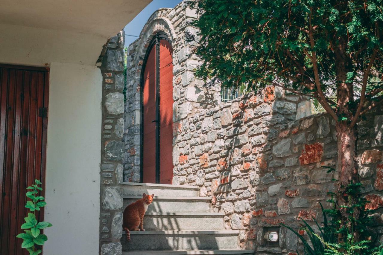 Willa Casa Di Bella Wolos Zewnętrze zdjęcie